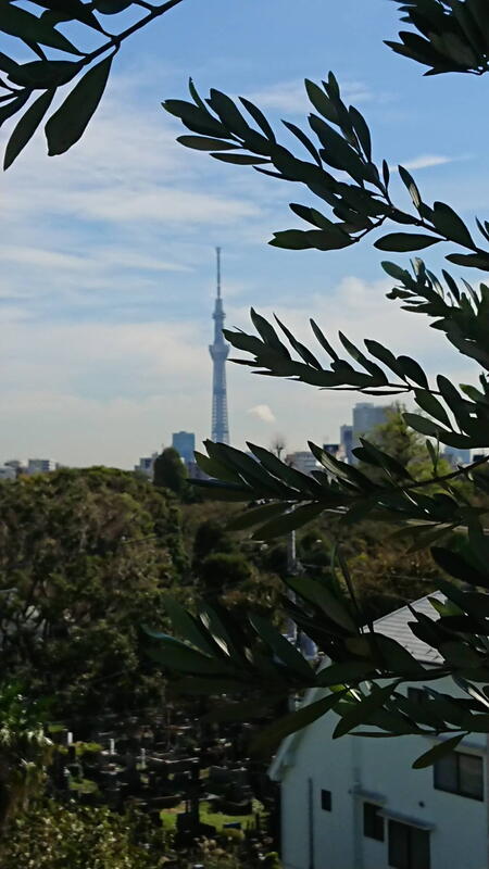 2019年 ふだんぎ親睦会