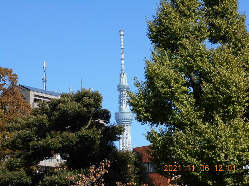 2021年 ふだんぎ親睦会